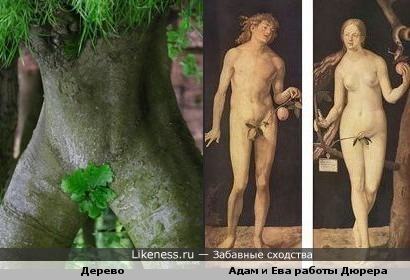 Вдохновение