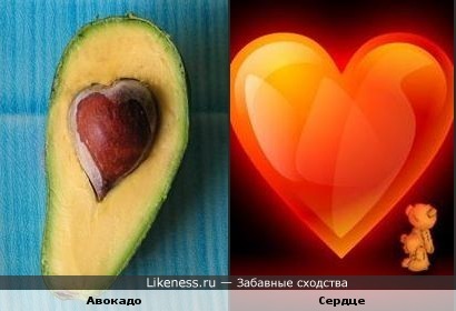 Косточка авокадо похожа на сердце