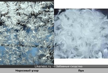 Морозный узор на стекле похож на птичий пух