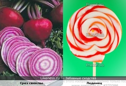 Срез свеклы похож на леденец