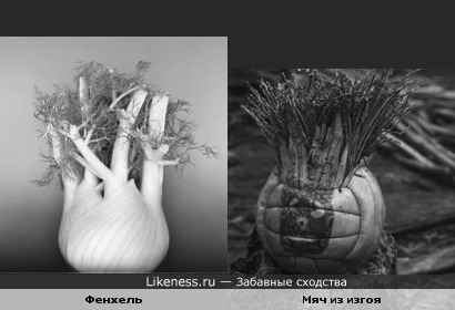 Мяч для салата