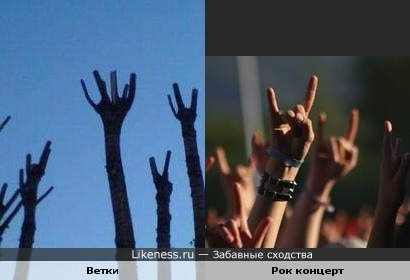 Ветки VS "Козы"