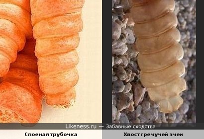 Слоеная трубочка похожа на хвост гремучей змеи