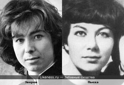 Зверев похож на Пьеху