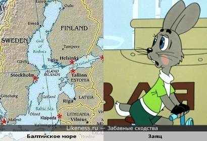 Балтийское море с заливами похоже на зайчика