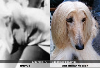 Платье Мэрилин Монро похоже на афганскую борзую