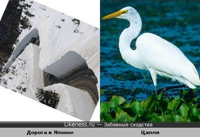 Дорога в Японии похожа на цаплю