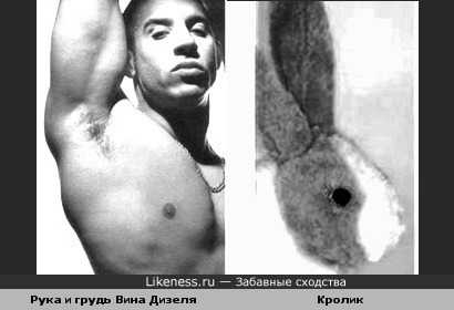 Рука и грудь Вина Дизеля похожи на профиль кролика