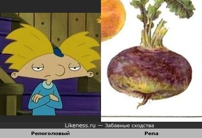 Репа и ... Репа!