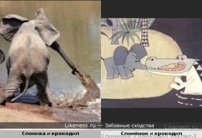 Крокодилы нападают на слонов.