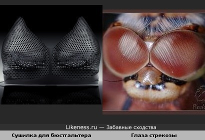 Сушильный аппарат похож на глаза стрекозы