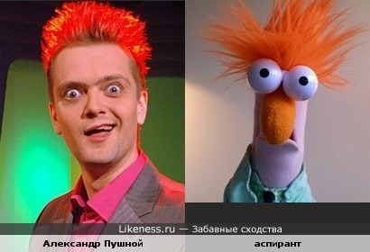 Пушной и аспирант из Маппет-шоу