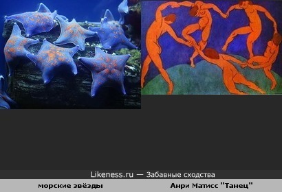 Морские звёзды напомнили известную картину