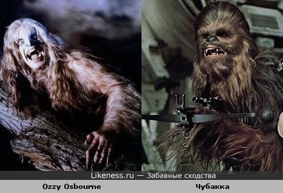 Оззи-Чубакка