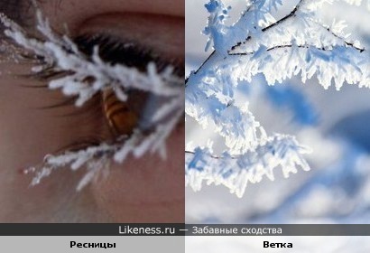 Иней