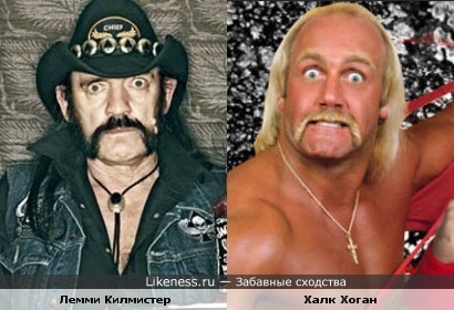 Лемми Килмистер(Моторхед) похож на Халка Хогана