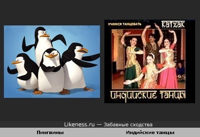 Пингвины танцуют индийские танцы