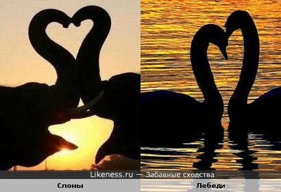 А нам летать - охота !