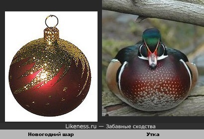Новогодний шар и утка