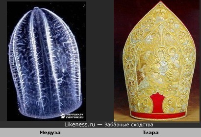 Медуза и Тиара