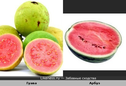 Гуава и Арбуз