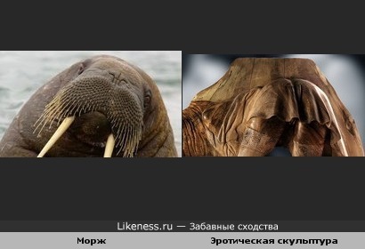 Морж и Эротическая скульптура