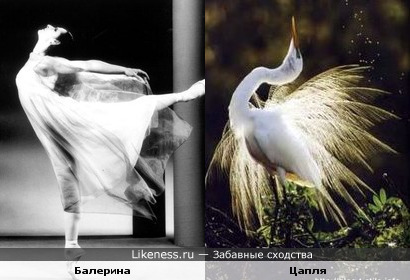 Балерина и Цапля