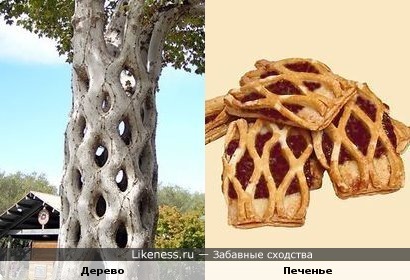 Дерево и Печенье