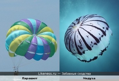 Парашют и Медуза
