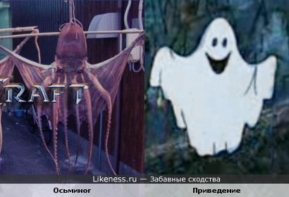 Пугающие осьминоги