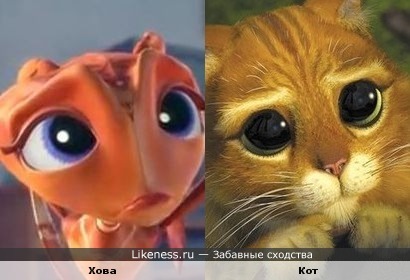 Фильм Гроза муравьев