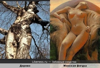 Дерево похоже на женскую фигуру