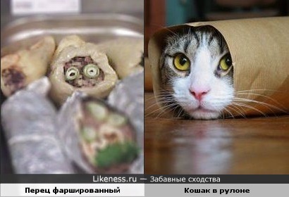 Фаршированный перец и кошак в рулоне
