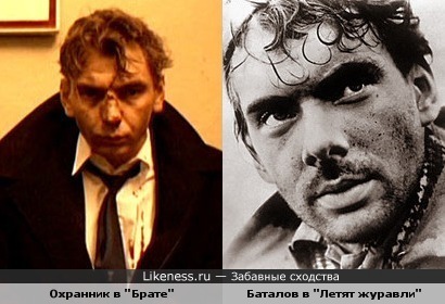 Охранник в фильме "Брат" и Алексей Баталов в роли Бориса в фильме "Летят журавли"