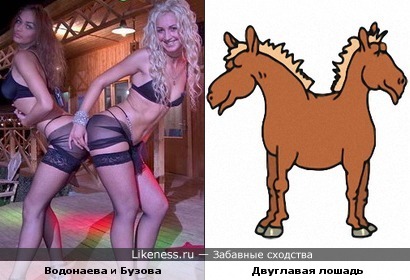 Алена Водонаева + Ольга Бузова = двуглавая лошадь