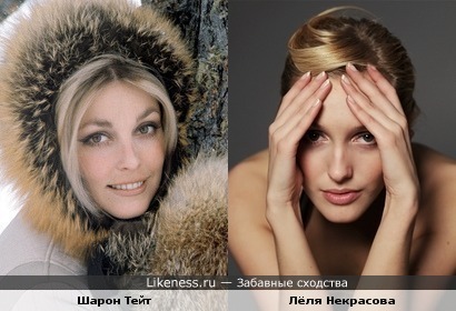 Лёля Некрасова (команда КВН "7 холмов") похожа на Шарон Тейт