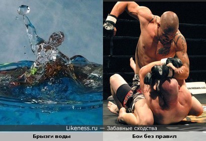 Брызги воды и Бои без правил