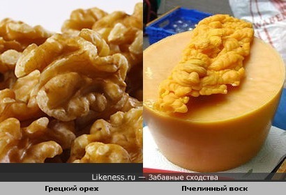 Грецкий орех и Пчелинный воск