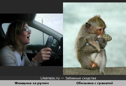 Встречалось в жизни...