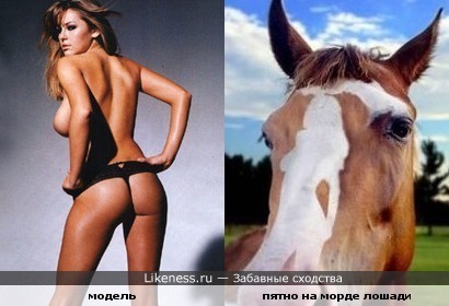 модель похожа на пятно на морде лошади