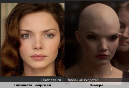 Боярская похожа на химеру