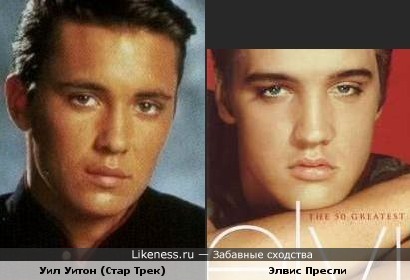 уэсли крашер фото уэсли крашер фото