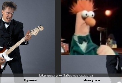 Пушной похож