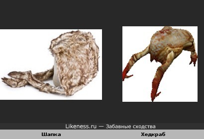 Женская шапка похожа на хедкраба