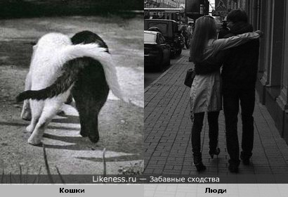 В обнимку...