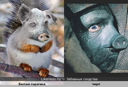 Симптомы и лечение защемления нерва