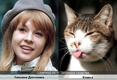 Кошка напомнила Татьяну Догилеву.