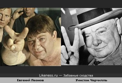"Пасть порву, моргала выколю"