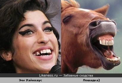 http://img.likeness.ru/uploads/users/3698/Amy_Jade_Winehouse_horse.jpg