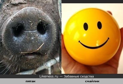 Улыбочку ))))
